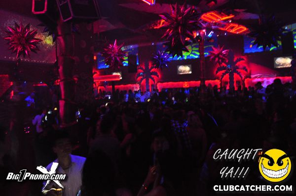 Luxy nightclub photo 176 - December 31st, 2013