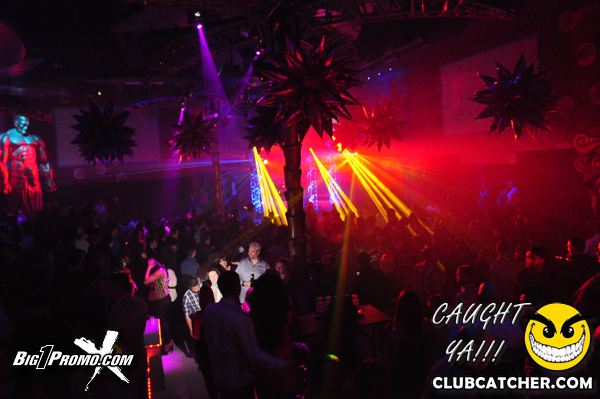Luxy nightclub photo 140 - January 4th, 2014