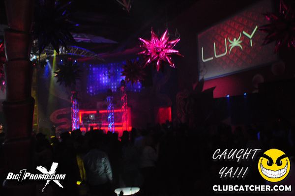 Luxy nightclub photo 38 - January 10th, 2014