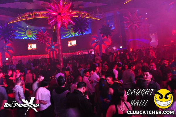 Luxy nightclub photo 196 - January 18th, 2014