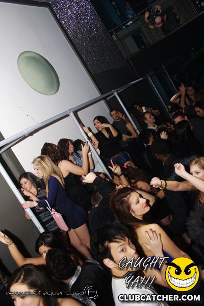 Frequency nightclub photo 246 - December 29th, 2010