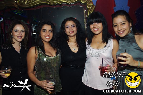Luxy nightclub photo 191 - January 8th, 2011