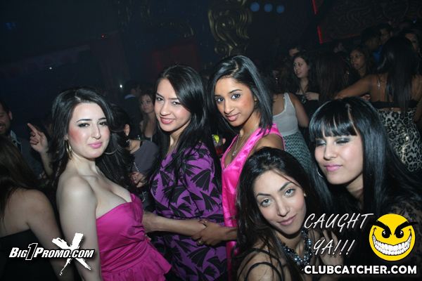 Luxy nightclub photo 95 - January 15th, 2011