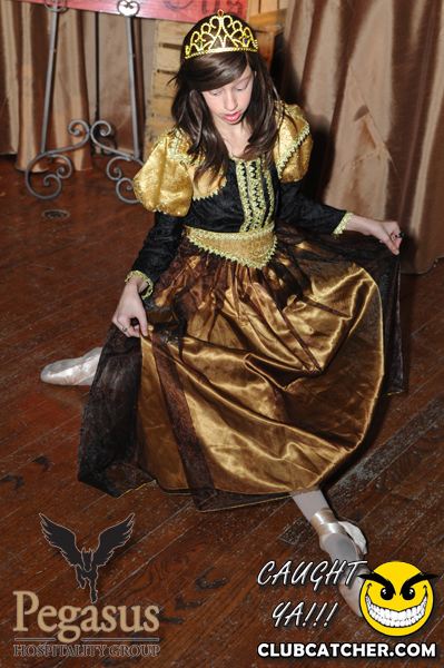 Casaloma party venue photo 7 - February 4th, 2011