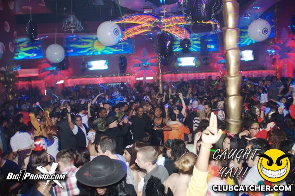 Luxy nightclub photo 104 - October 29th, 2011
