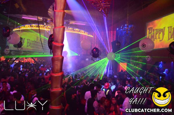 Luxy nightclub photo 346 - October 29th, 2011