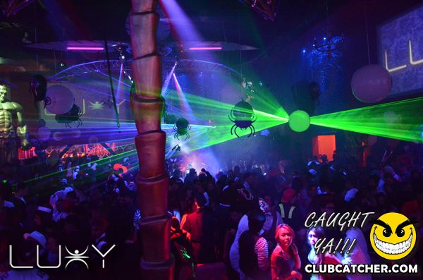 Luxy nightclub photo 458 - October 29th, 2011