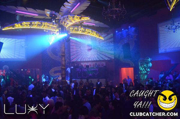 Luxy nightclub photo 337 - November 26th, 2011