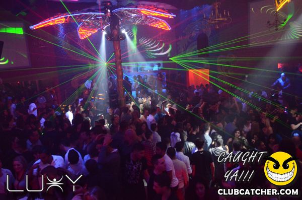 Luxy nightclub photo 381 - January 21st, 2012
