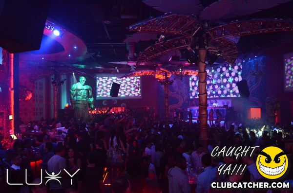 Luxy nightclub photo 383 - January 21st, 2012