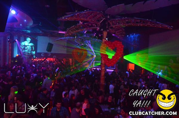 Luxy nightclub photo 436 - February 11th, 2012