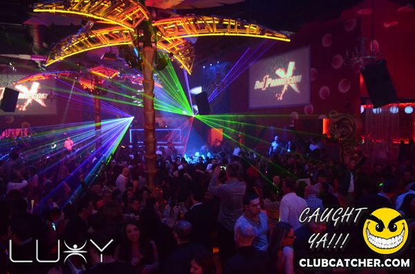 Luxy nightclub photo 432 - February 18th, 2012