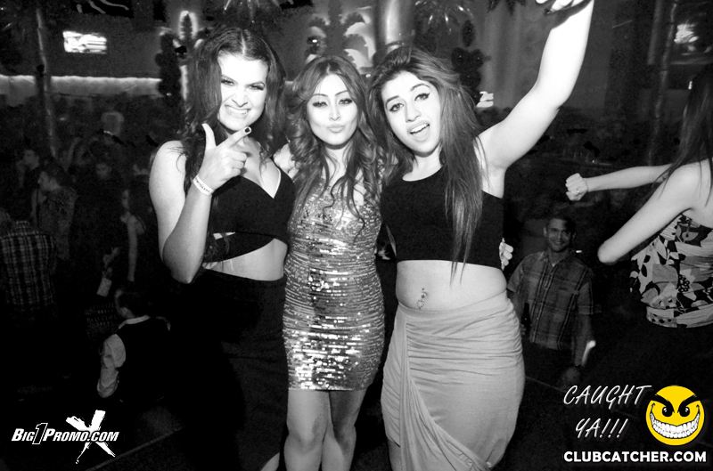 Luxy nightclub photo 142 - March 15th, 2014