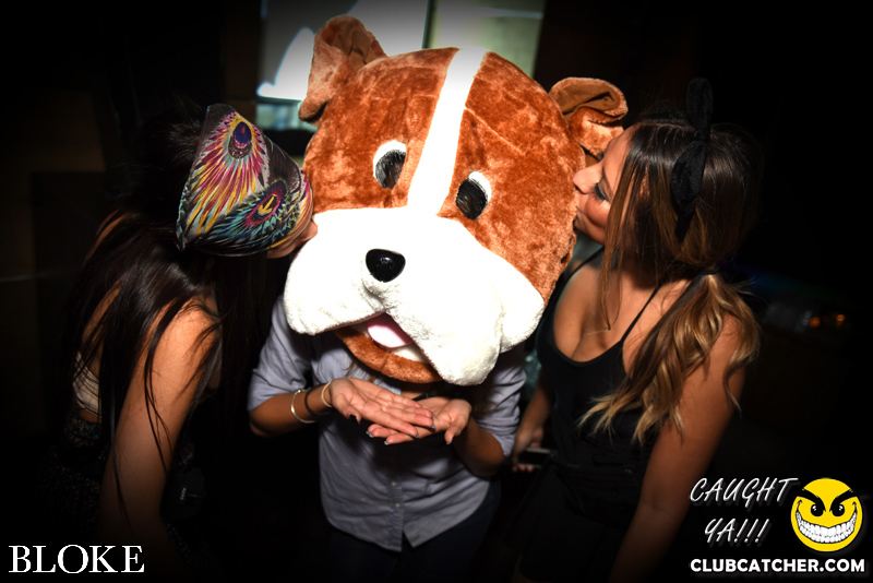 Bloke nightclub photo 2 - October 30th, 2014