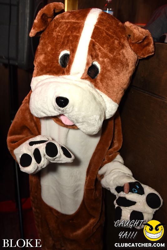 Bloke nightclub photo 20 - October 30th, 2014