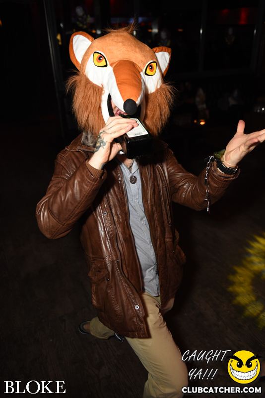 Bloke nightclub photo 26 - October 30th, 2014