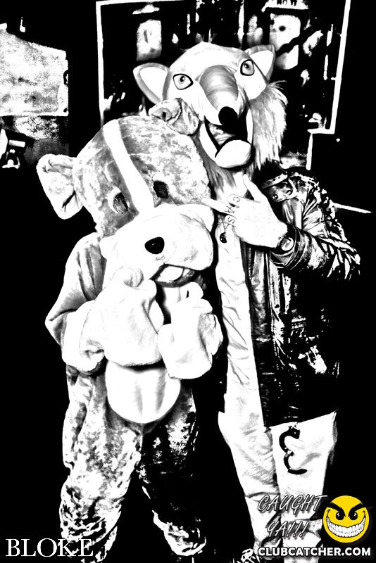 Bloke nightclub photo 53 - October 30th, 2014