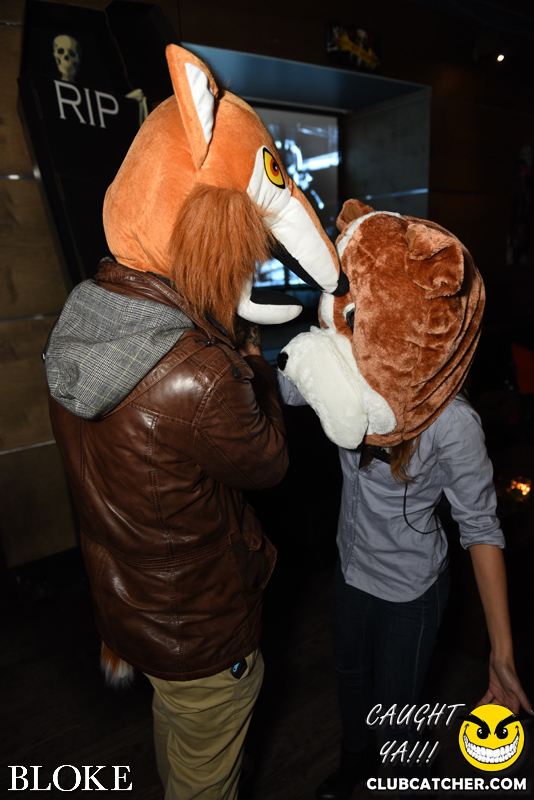 Bloke nightclub photo 55 - October 30th, 2014