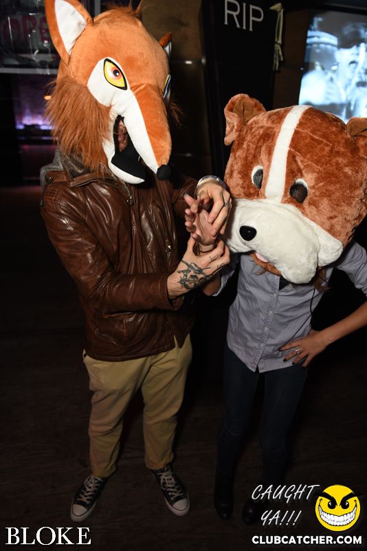 Bloke nightclub photo 59 - October 30th, 2014