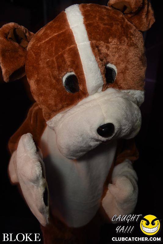 Bloke nightclub photo 60 - October 30th, 2014