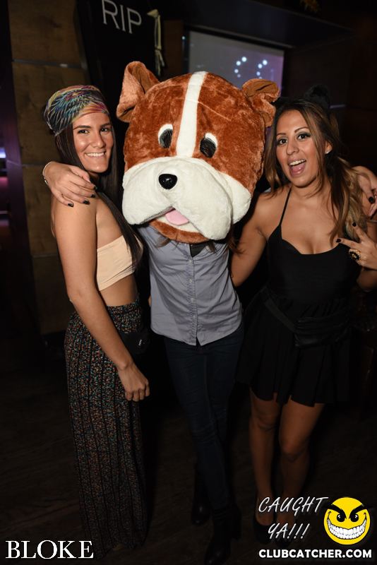 Bloke nightclub photo 64 - October 30th, 2014