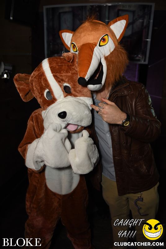 Bloke nightclub photo 68 - October 30th, 2014