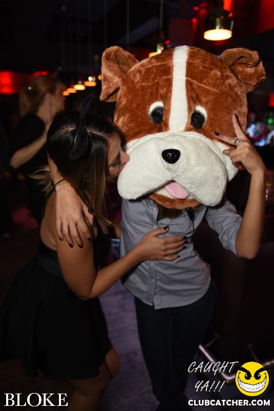 Bloke nightclub photo 72 - October 30th, 2014