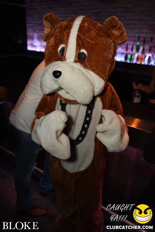 Bloke nightclub photo 38 - November 1st, 2014