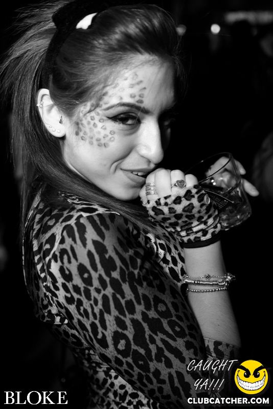 Bloke nightclub photo 51 - November 1st, 2014