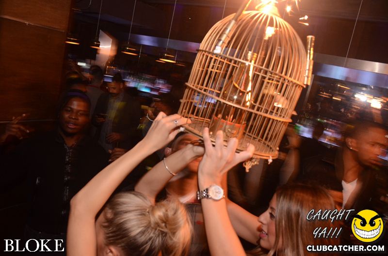 Bloke nightclub photo 29 - November 9th, 2014