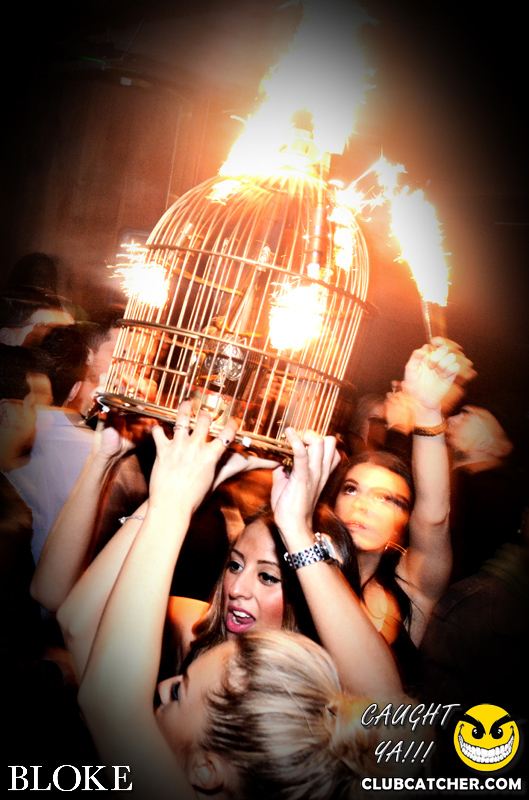 Bloke nightclub photo 45 - November 9th, 2014