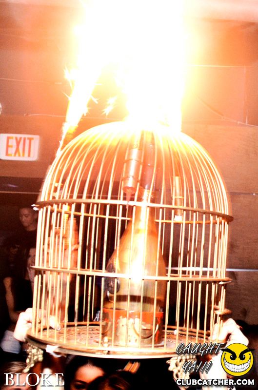 Bloke nightclub photo 11 - November 16th, 2014