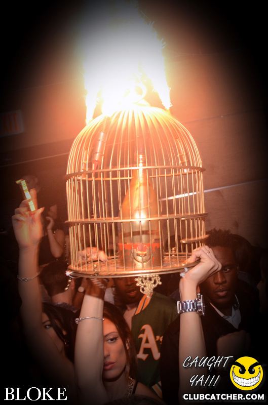 Bloke nightclub photo 20 - November 16th, 2014