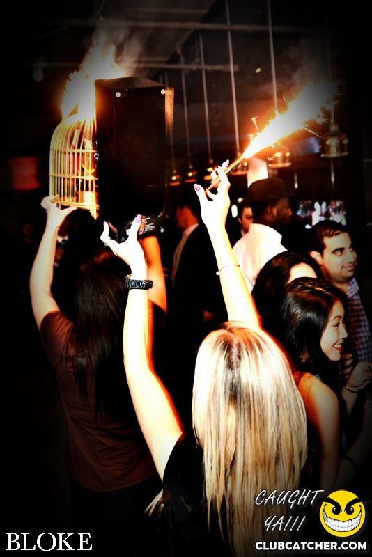 Bloke nightclub photo 64 - November 18th, 2014