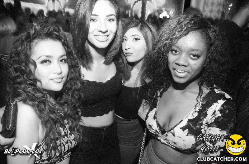 Luxy nightclub photo 181 - December 19th, 2014