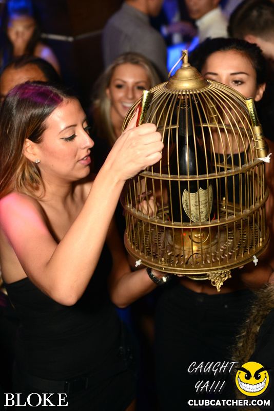 Bloke nightclub photo 83 - December 19th, 2014