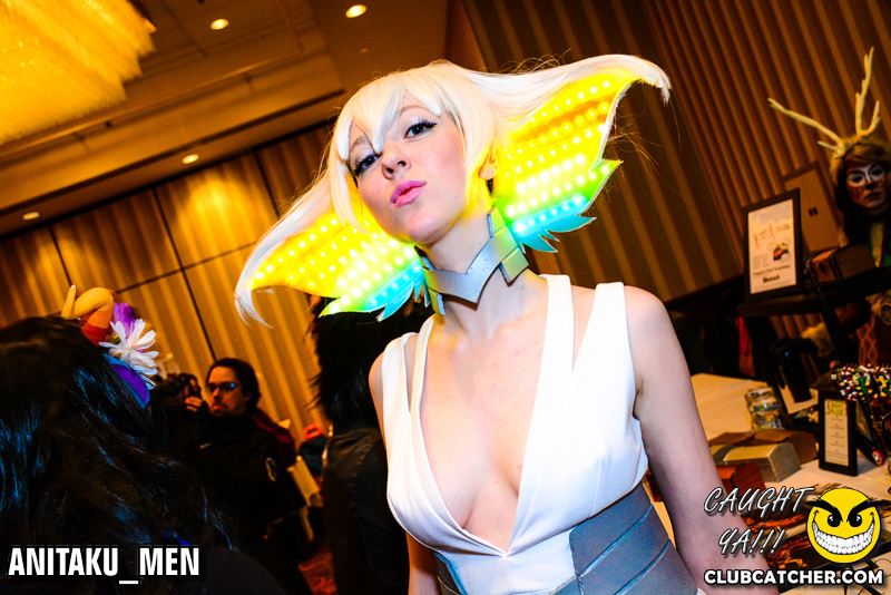 Frost Convention  festival photo 11 - January 31st, 2015