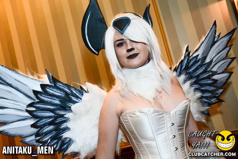 Frost Convention  festival photo 12 - January 31st, 2015