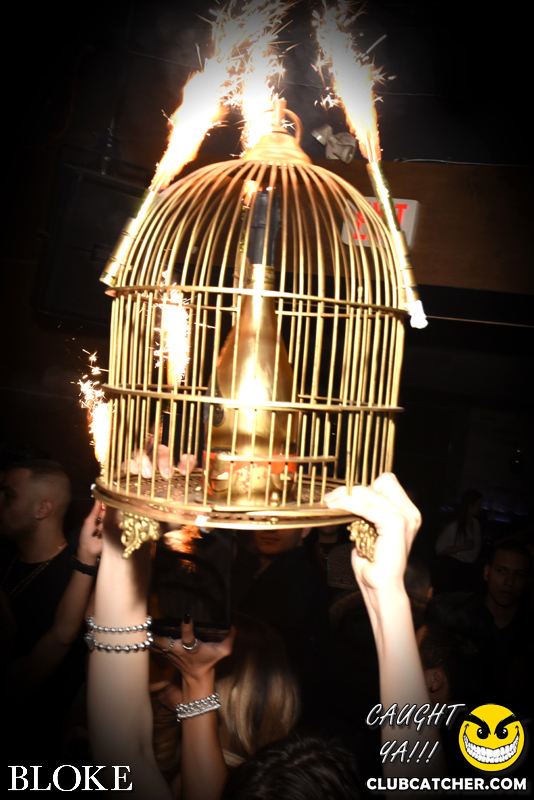 Bloke nightclub photo 109 - February 6th, 2015