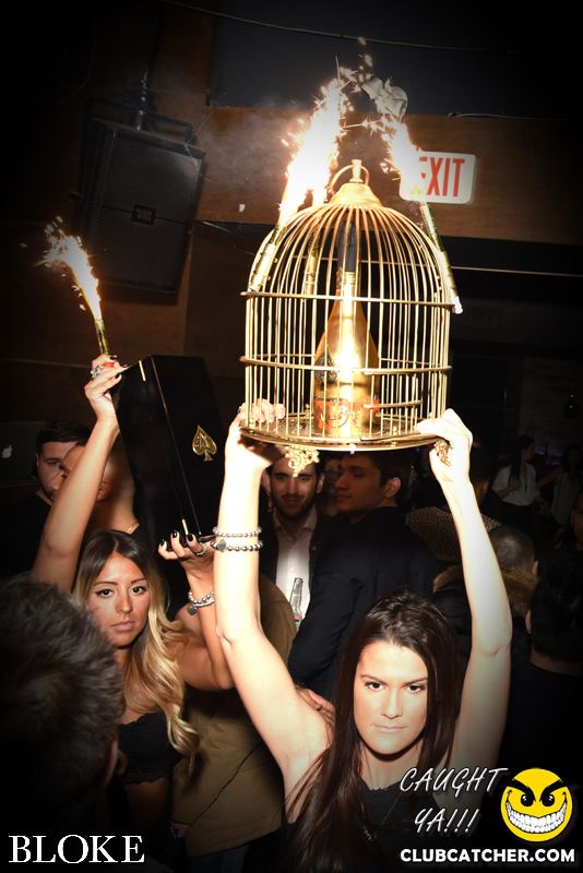 Bloke nightclub photo 45 - February 6th, 2015