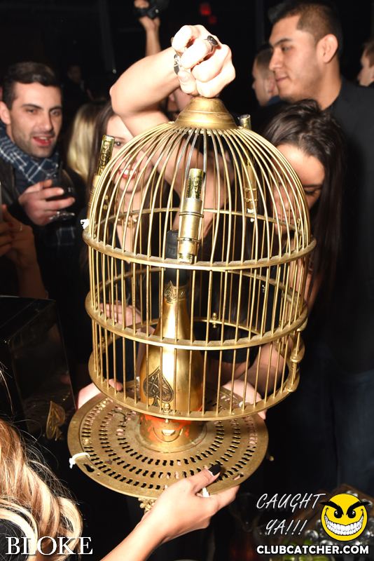 Bloke nightclub photo 48 - February 6th, 2015