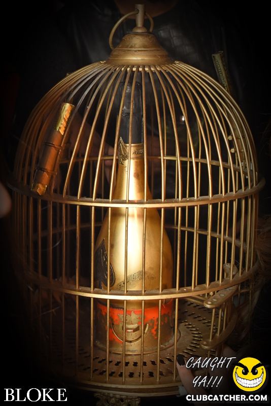 Bloke nightclub photo 144 - February 7th, 2015