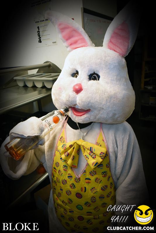 Bloke nightclub photo 78 - April 4th, 2015