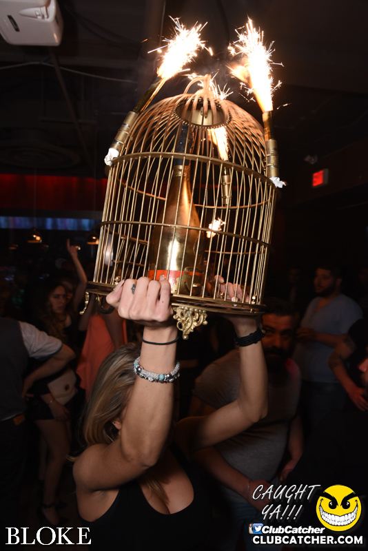 Bloke nightclub photo 103 - April 14th, 2015