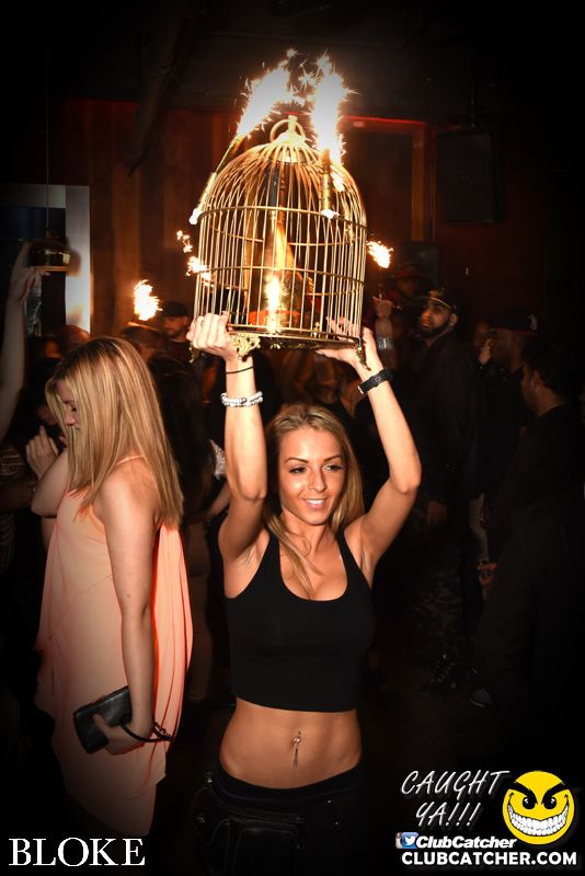 Bloke nightclub photo 115 - April 14th, 2015