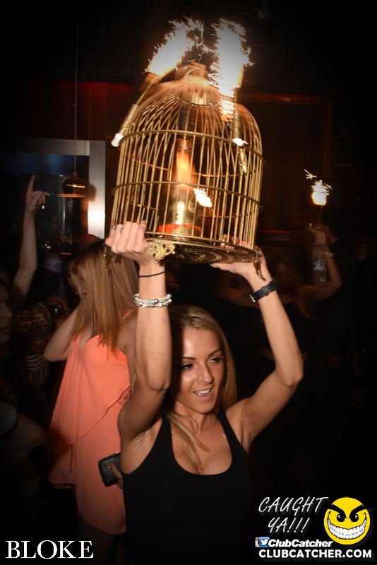 Bloke nightclub photo 58 - April 14th, 2015