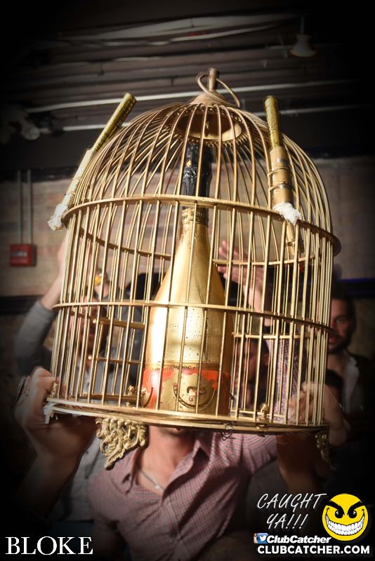 Bloke nightclub photo 14 - April 25th, 2015