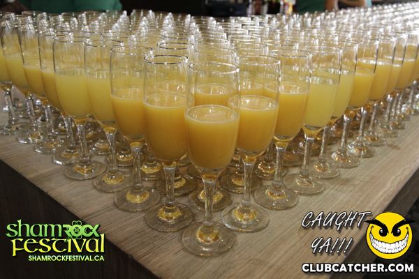 Brassaii lounge photo 146 - March 17th, 2013