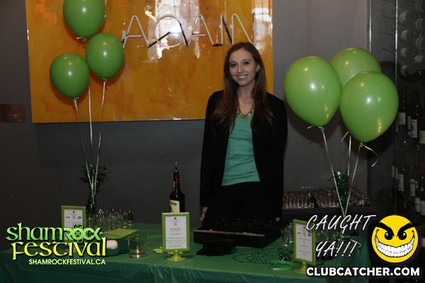 Brassaii lounge photo 254 - March 17th, 2013