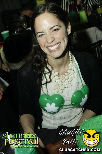 Brassaii lounge photo 351 - March 17th, 2013